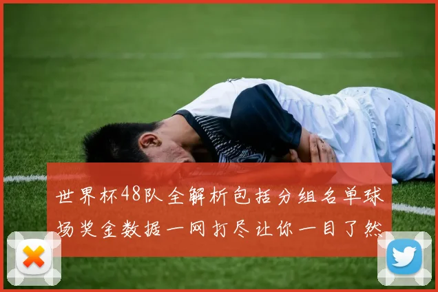 世界杯48队全解析包括分组名单球场奖金数据一网打尽让你一目了然