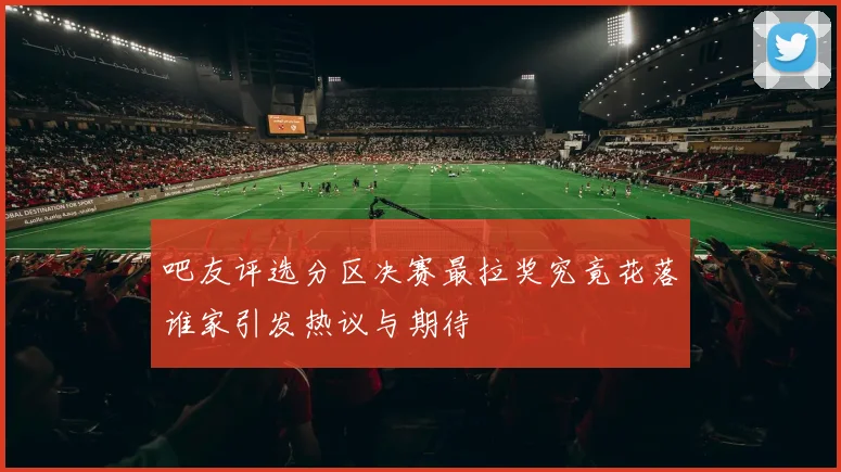 吧友评选分区决赛最拉奖究竟花落谁家引发热议与期待
